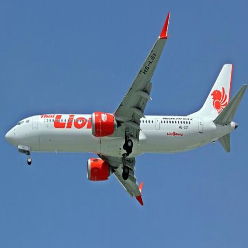 Lion Air: Einige suchen nach dem Ort, an dem sie die Schuld anbringen können, andere fragen sich, ob ihr Pilot ihr Flugzeug fliegen kann